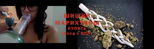 Альфа ПВП Лагань
