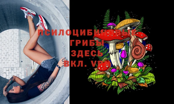 Альфа ПВП Лагань