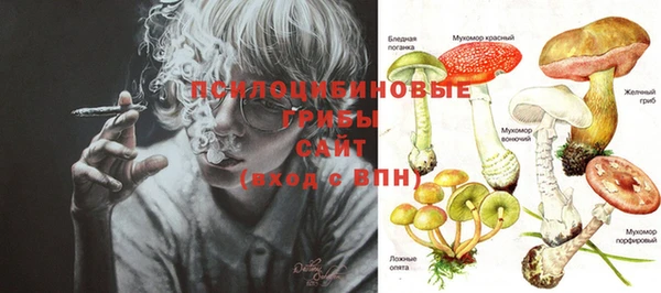 стаф Ладушкин