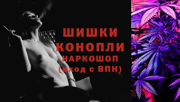 стаф Ладушкин